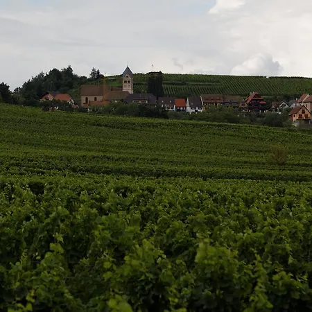 Domaine Roland Geyer